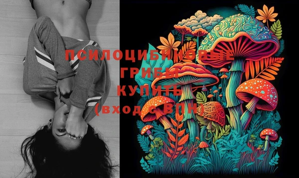 меф Осташков